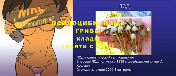 таблы Богородицк