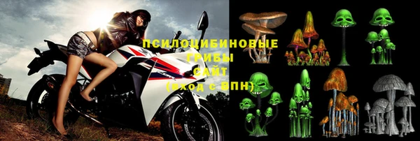 ГАЛЛЮЦИНОГЕННЫЕ ГРИБЫ Богданович