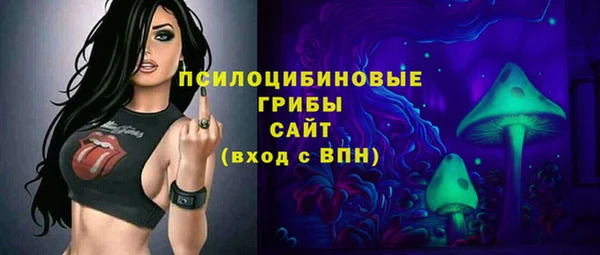 стафф Богородск