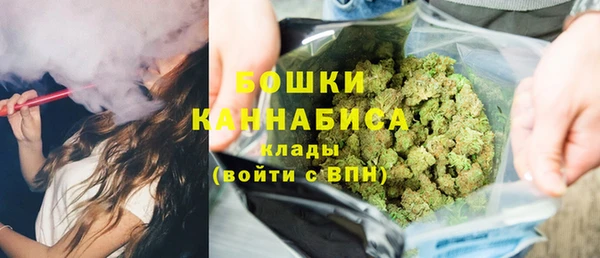 ГАЛЛЮЦИНОГЕННЫЕ ГРИБЫ Богданович