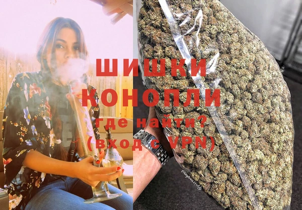 стафф Богородск