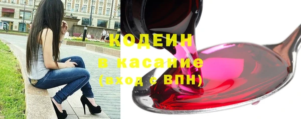ГАЛЛЮЦИНОГЕННЫЕ ГРИБЫ Богданович