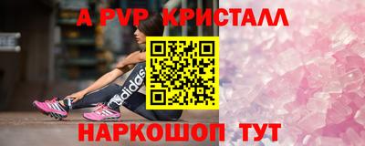 apvp Славгород