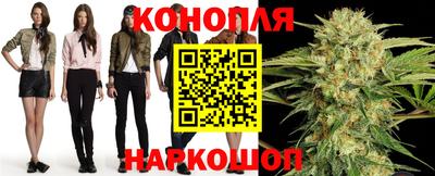 apvp Славгород