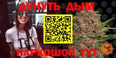 apvp Славгород