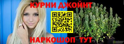 apvp Славгород