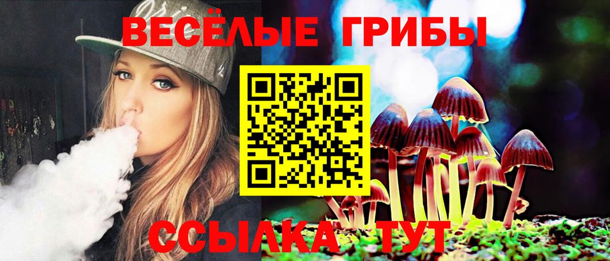 Псилоцибиновые грибы мицелий Пятигорск